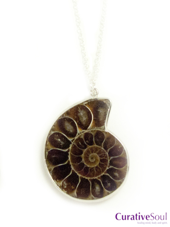 Ammonite Shell Fossil Necklace - Click Image to Close